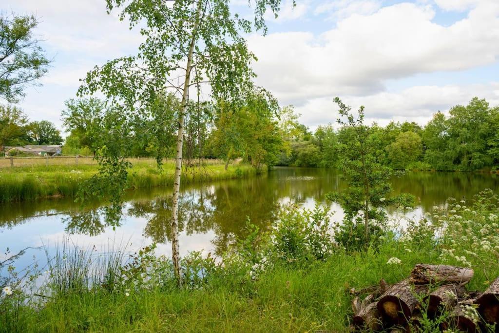 فيلا L'Evasion En Pierre Piscine Et Etang Prive Sevremoine المظهر الخارجي الصورة