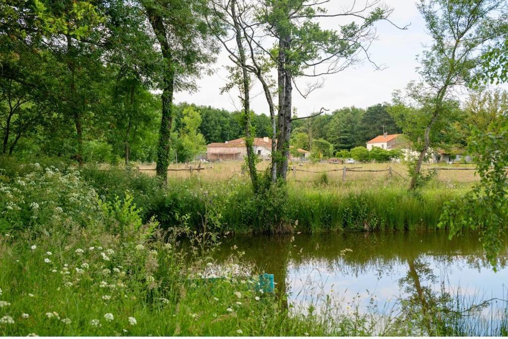 فيلا L'Evasion En Pierre Piscine Et Etang Prive Sevremoine المظهر الخارجي الصورة